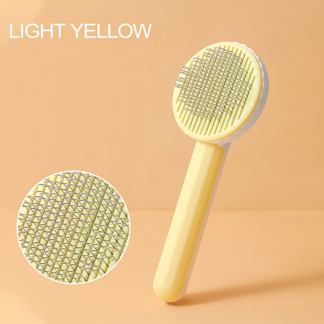 Self-Cleaning Brush