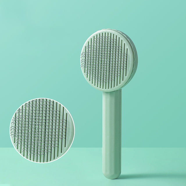 Self-Cleaning Brush