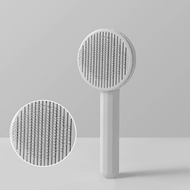 Self-Cleaning Brush