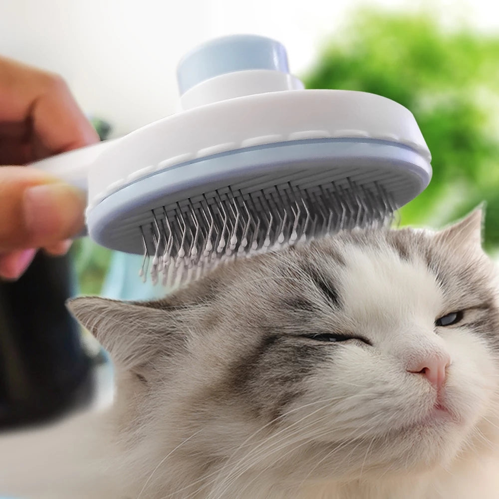 Self-Cleaning Brush