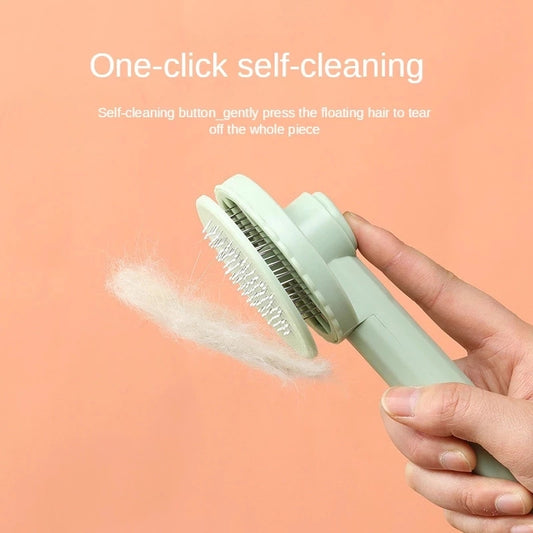 Self-Cleaning Brush